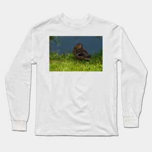 Duck in the grass Long Sleeve T-Shirt